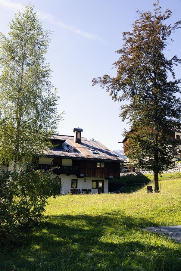 Casa Betulla Leilighet Cortina dʼAmpezzo Eksteriør bilde